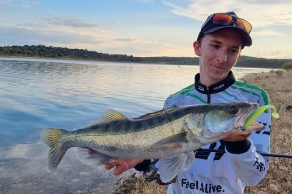 Fishing for Zander
