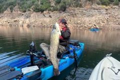 Fishing for Catfish with Live Bait