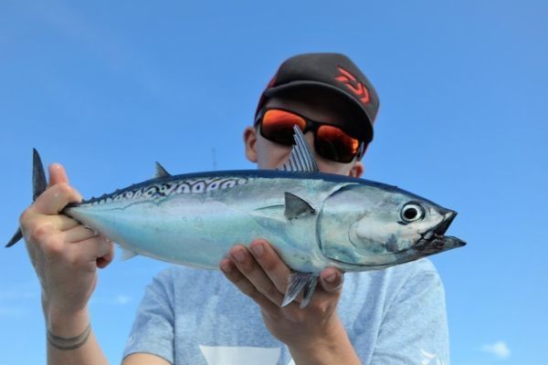 Saltwater Lure Fishing