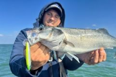 The Power Tail Shallow: a new product that has already proven its effectiveness.