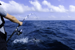 What are some techniques for saltwater fishing?