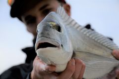 Getting Started with Saltwater Fishing