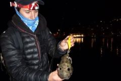 Choosing a Headlamp for Night Fishing