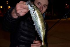 Night Fishing for Sea Bream