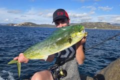 Fishing for dolphinfish
