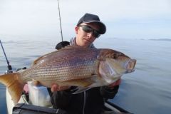 Fishing for dentex with squid
