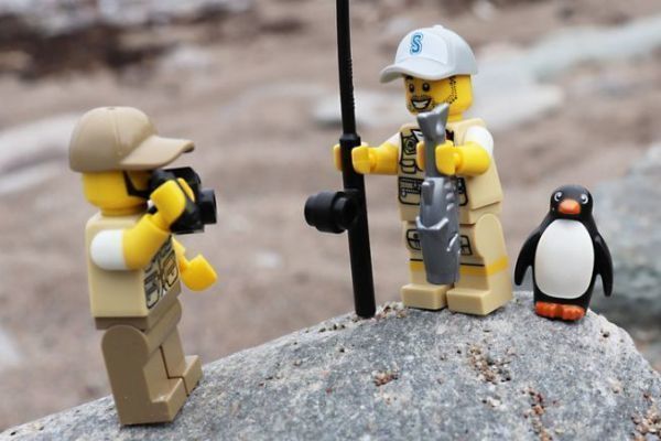 You need to learn how to take a good photo!