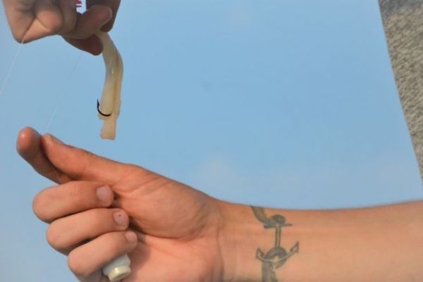 Winter fishing at sea with squid spawn