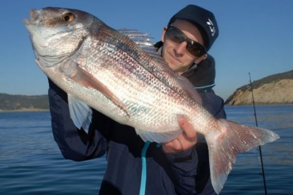 Bait fishing for pike-perch
