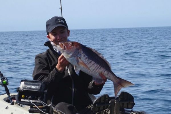 Baits for denti fishing