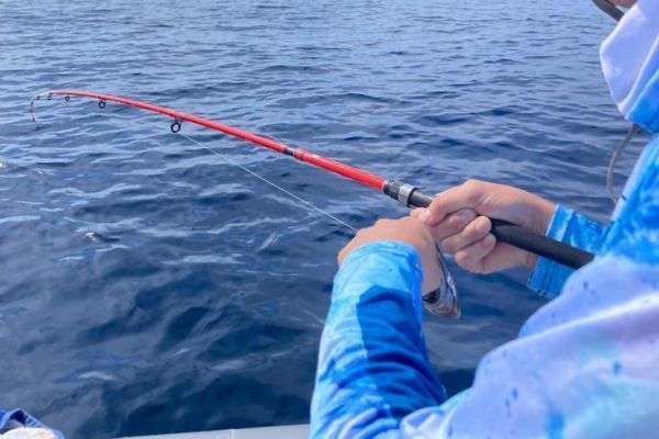 Bottom Fishing from a Boat