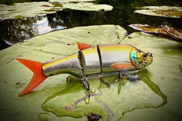 Join the Lure Revolution!