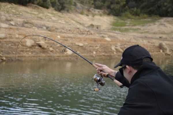 Unhooking the lure