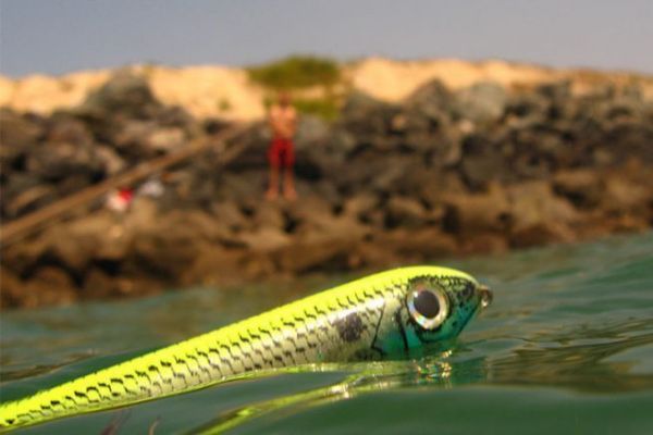 The stickbait, a hard surface lure