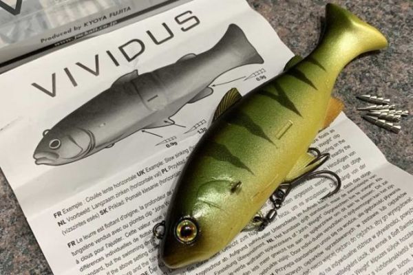 The Vividus is realistic!