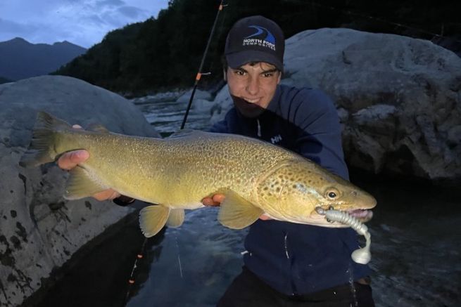 A huge Marmorata trout, caught on skeleton at the morning shot!