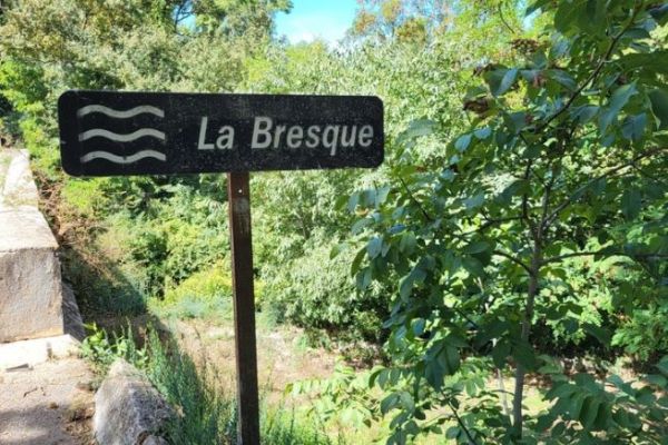 Fishing on the Bresque River