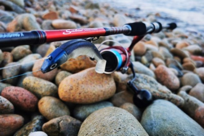 Daiwa Saltist rod, Daiwa BG LT RR 3000 reel and a Fiiish Black Minnow 120. A perfect set to look for the
