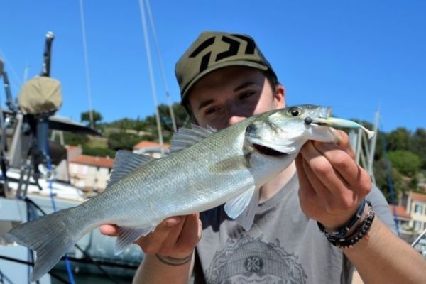 Fishing in the Mediterranean in September