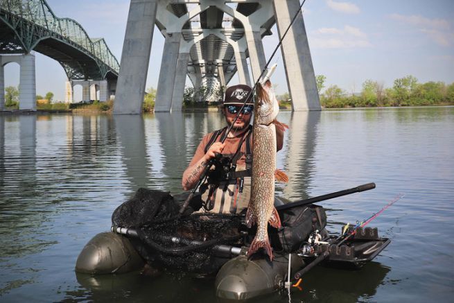 Pike caught in Montreal, Quebec.