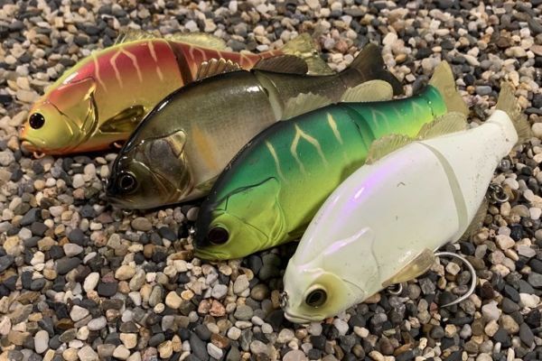 Gantarel d'Illex is back!