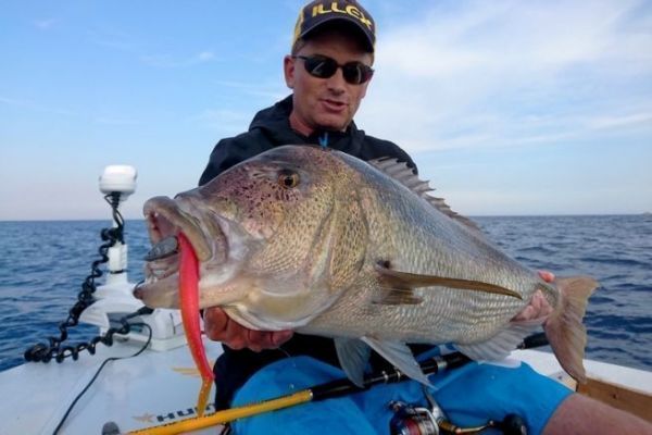 Denti shad fishing