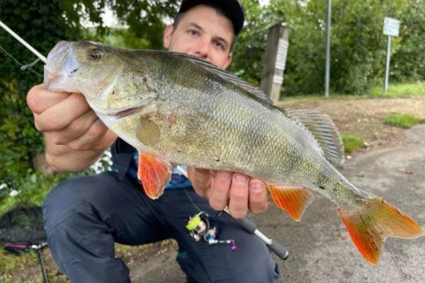 Fishing downsizing