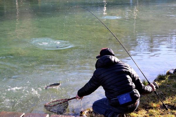 Salmon fishing in the area