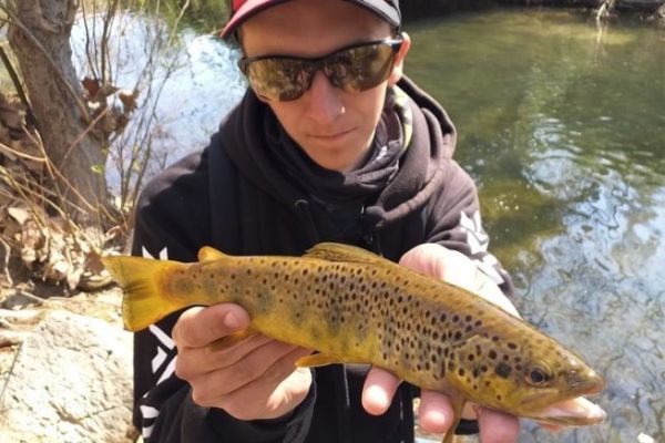 Trout Fishing at the End of the Season