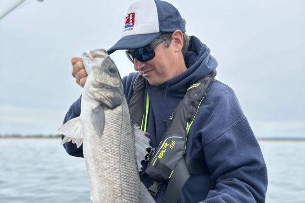 Sea bass fishing trip