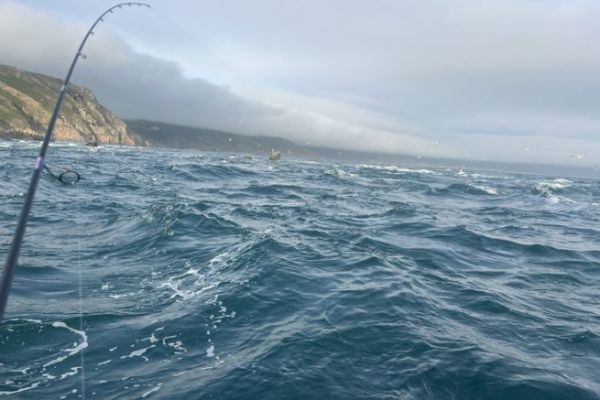 Windy conditions are ideal for bass fishing!