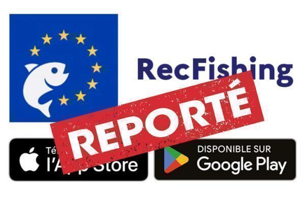 Launch of RecFishing application postponed