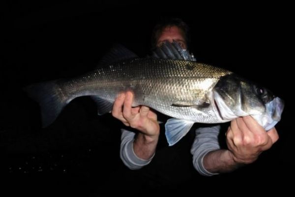 What equipment and technique should you use for night bass fishing?