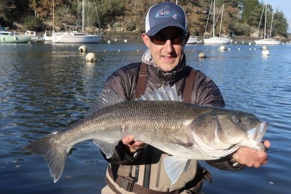 A record-breaking bass caught on sight