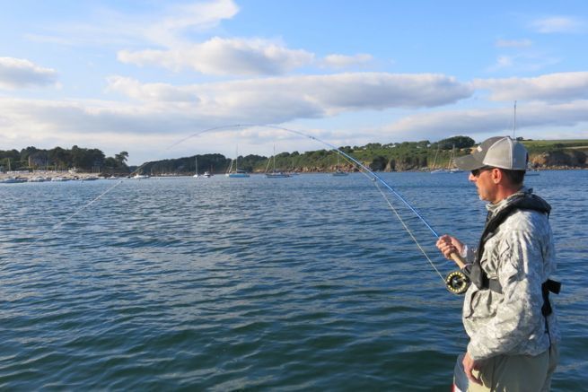 Fly fishing for bass: an exciting form of fishing