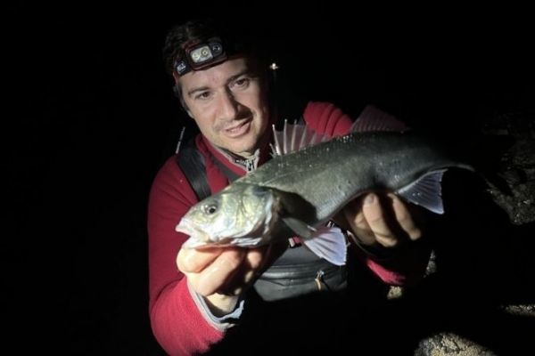 Sea bass fishing at night
