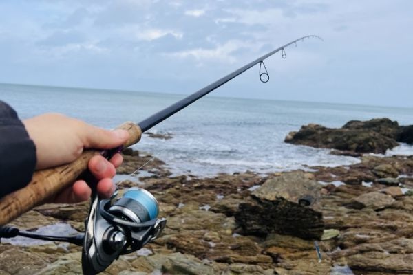 Sea bass fishing on a rising or falling tide?