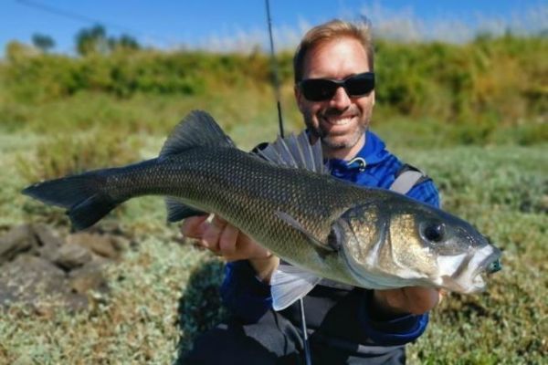Buzzing bass fishing