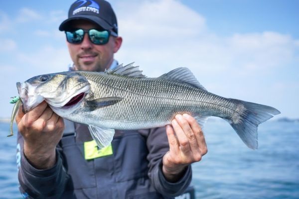 Catching your first sea bass is an unforgettable moment for any angler!
