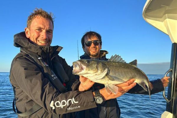 Sea bass caught with stickbait at sunrise