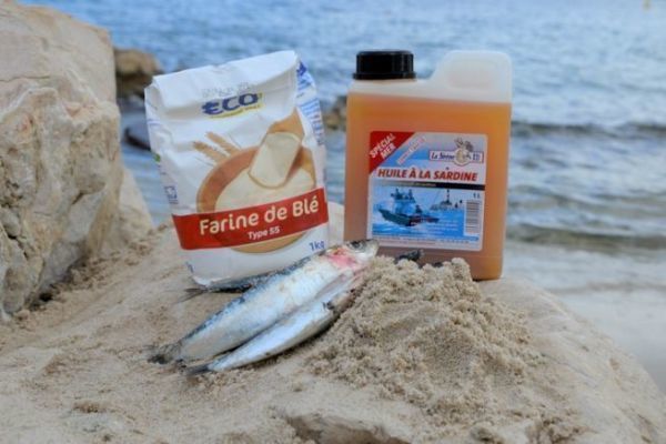 Which primer for which species?