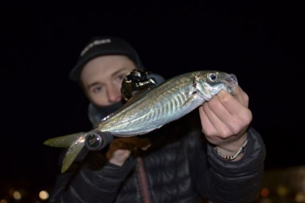 Lure fishing for redfish