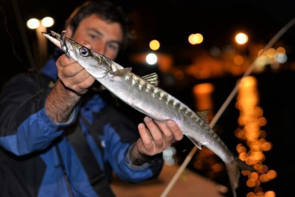 Fishing ports
