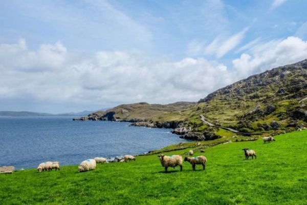 Ireland is a dream destination for fishing enthusiasts