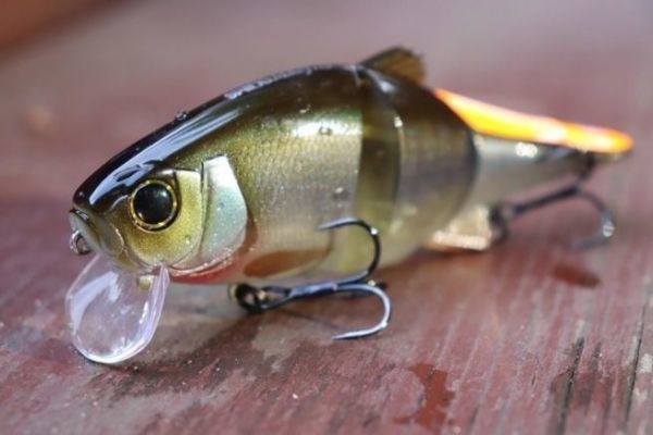The Swing Mikey 115 is a good size for pike fishing.