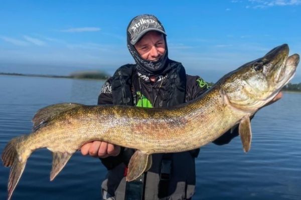 Pretty Irish pike