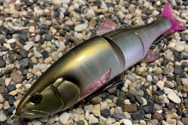 The size 180 was eagerly awaited!