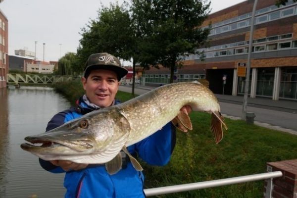 Pike fishing in the polders