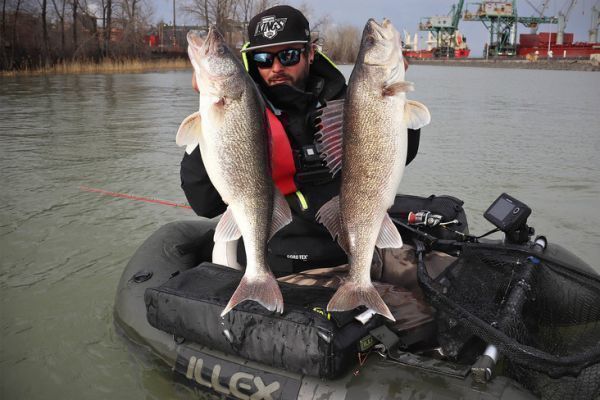 Vertical fishing is the technique of choice for pike-perch and walleye.