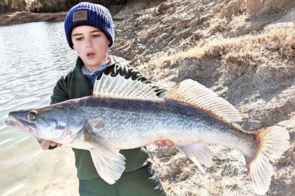 Pike-perch fishing from the shore